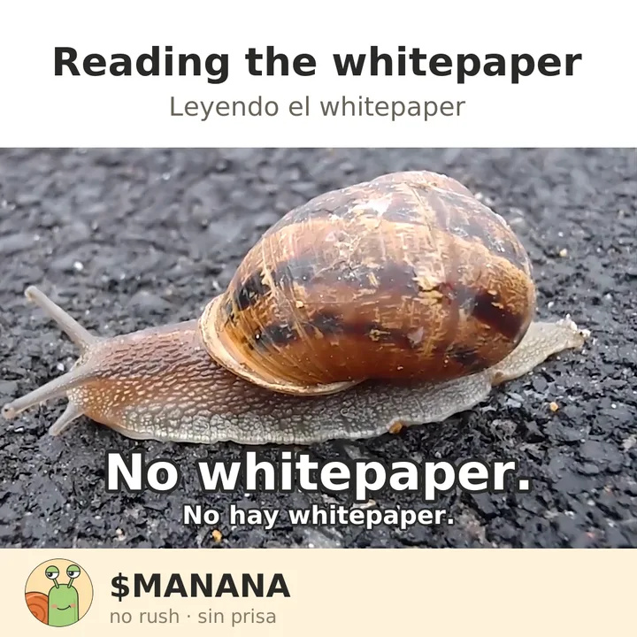 Reading the whitepaper — there is no whitepaper.